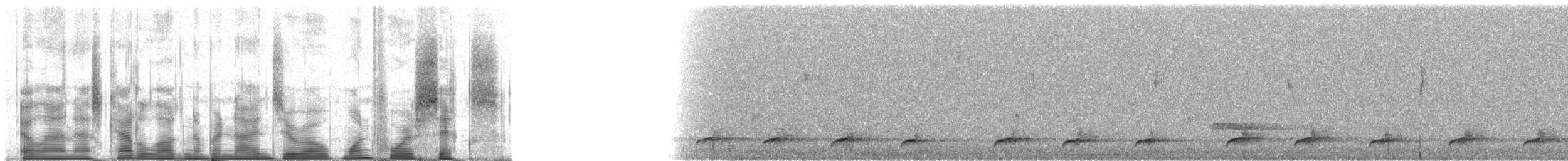 Slaty-breasted Wood-Rail - ML90146