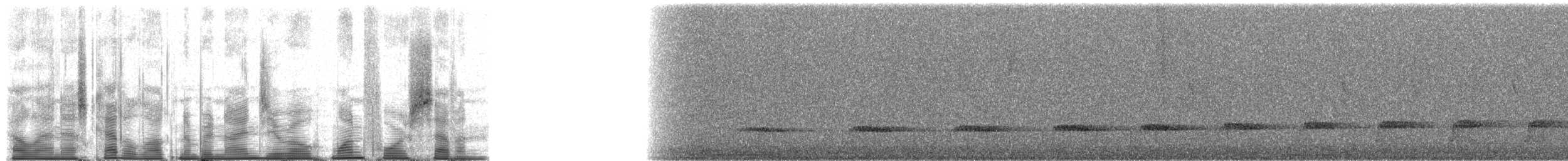 Brown Tinamou (Atlantic) - ML90147