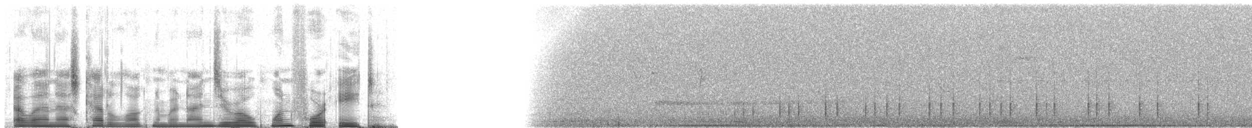 Mottled Piculet - ML90148