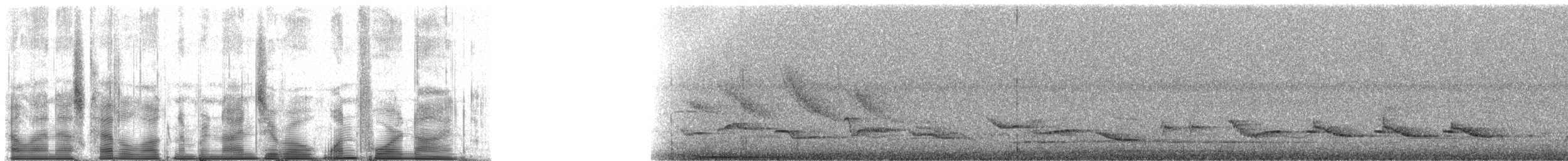 Rufous-bellied Thrush - ML90149