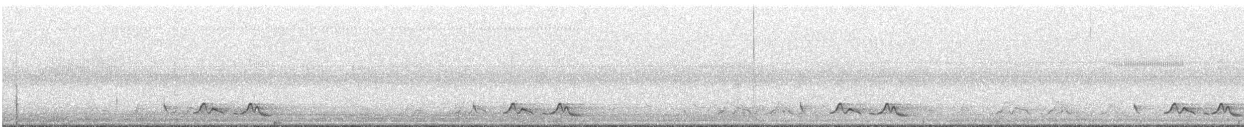 Carolinanachtschwalbe - ML90153301