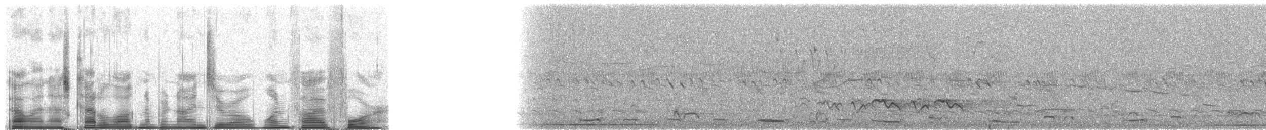 Gray-cowled Wood-Rail (Gray-cowled) - ML90154