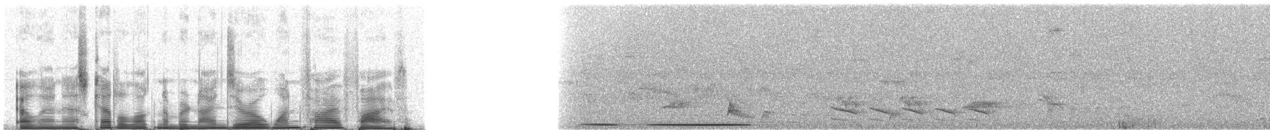 White-tipped Dove (brasiliensis Group) - ML90155