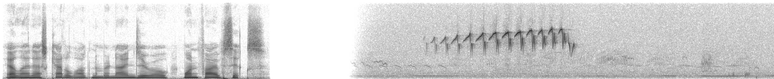 Tropical Parula - ML90156