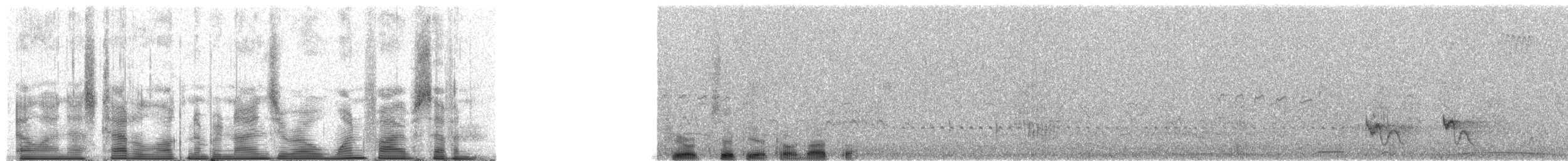 Swallow-tailed Manakin - ML90157