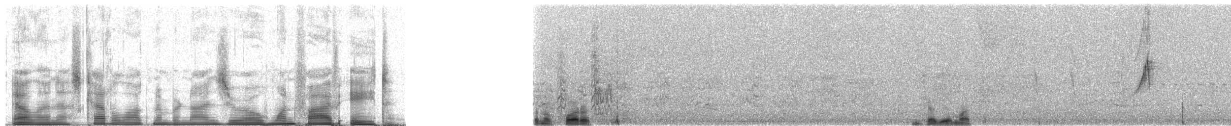 Diademed Tanager - ML90158