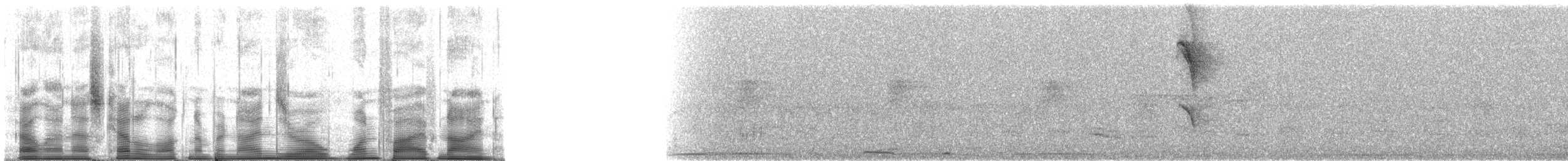 Rufous-bellied Thrush - ML90159