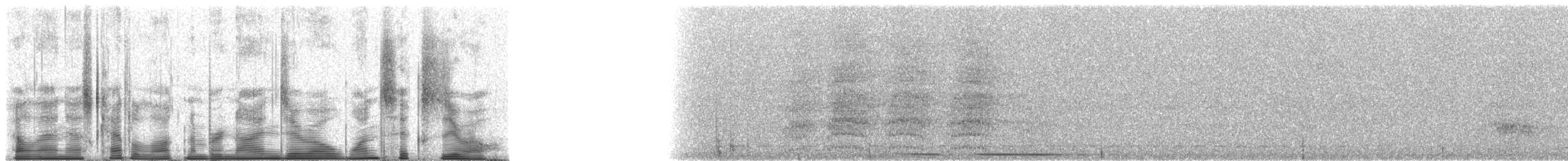 White-tipped Dove (brasiliensis Group) - ML90160