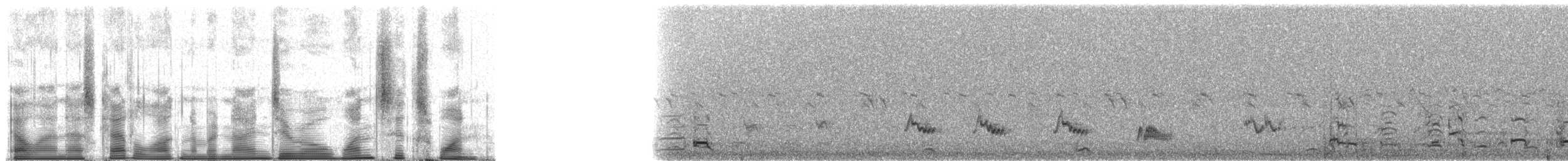 Red-legged Seriema - ML90161