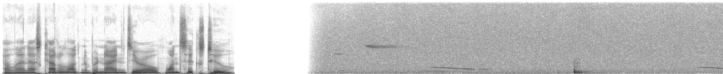 Frogs and Toads - ML90162