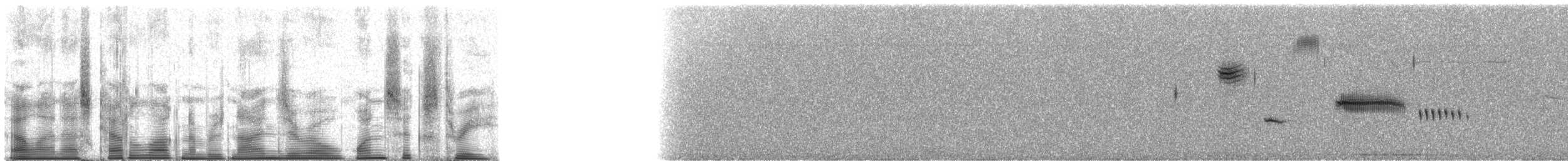 Grassland Sparrow - ML90163