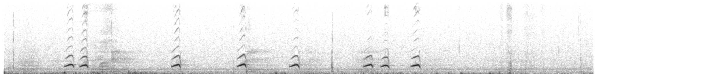 カナダカケス（obscurus／griseus） - ML90199561