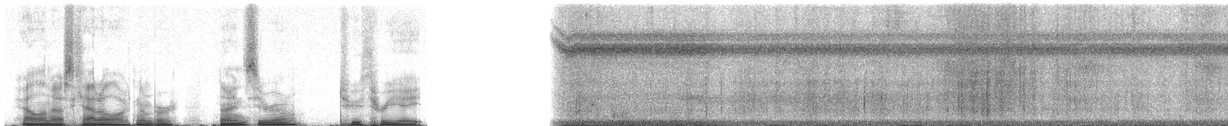 Central American Squirrel Monkey - ML90238