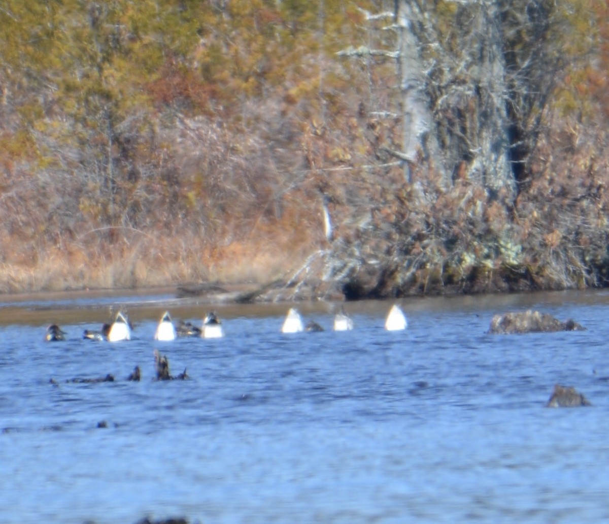 Çamurcun - ML90253581