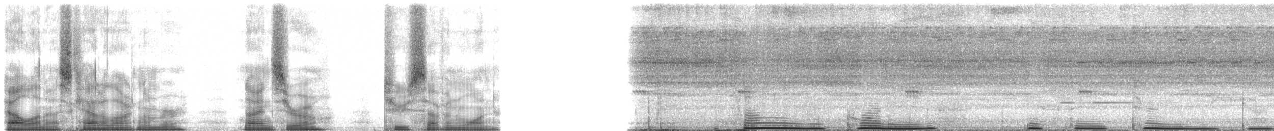 Amazon Bamboo Rat - ML90271