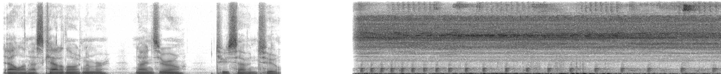 Amazon Bamboo Rat - ML90272