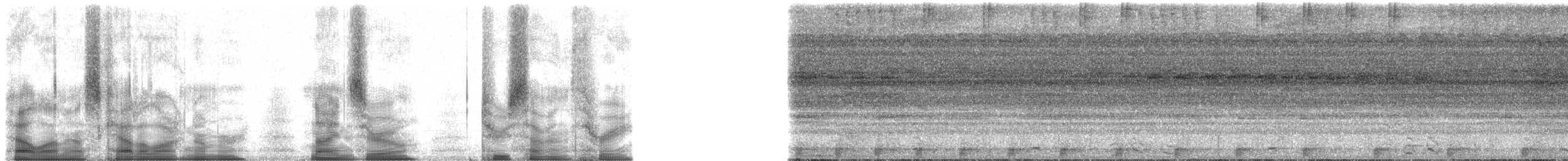 Amazon Bamboo Rat - ML90273