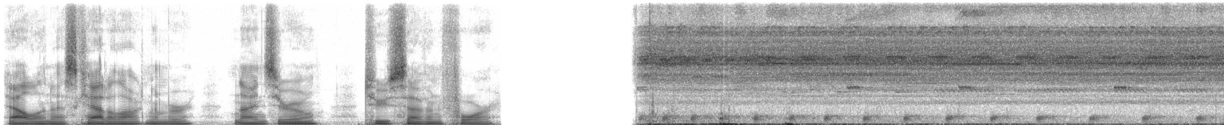 Amazon Bamboo Rat - ML90274