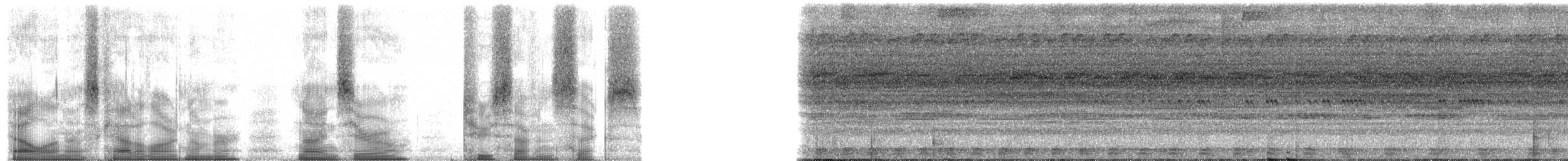 Amazon Bamboo Rat - ML90276