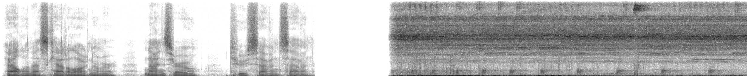 Amazon Bamboo Rat - ML90277