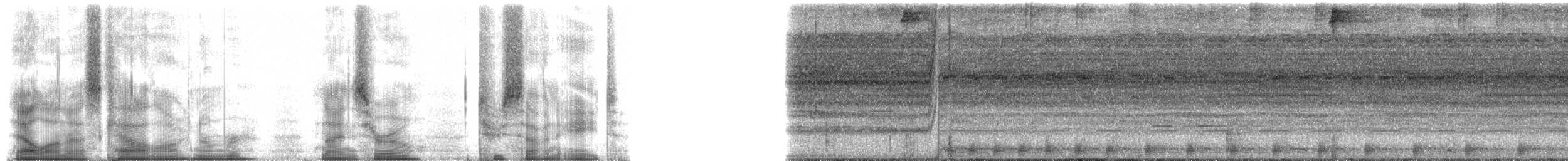 Amazon Bamboo Rat - ML90278