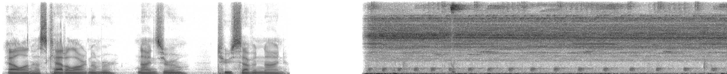 Amazon Bamboo Rat - ML90279