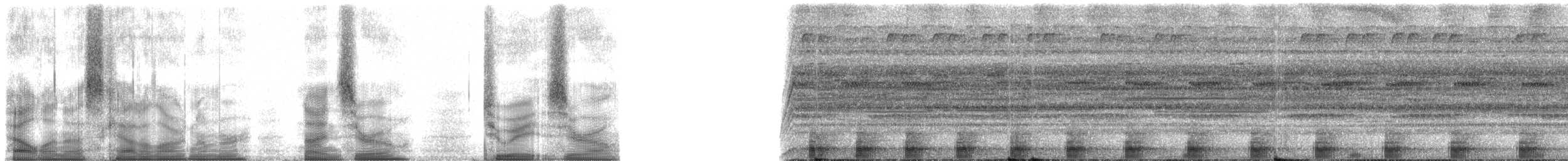 Amazon Bamboo Rat - ML90280