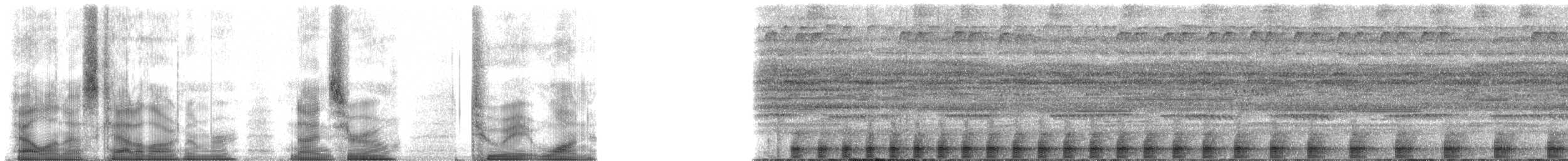 Amazon Bamboo Rat - ML90281