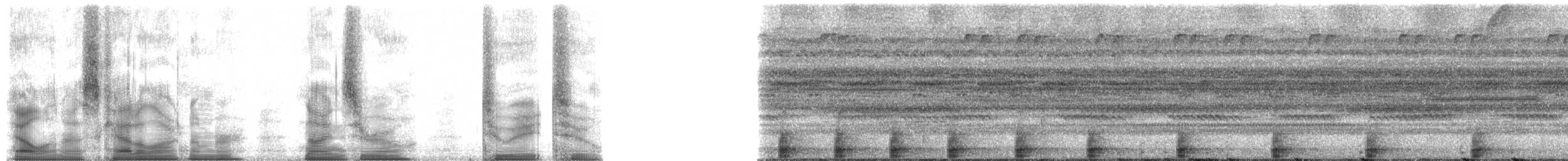 Amazon Bamboo Rat - ML90282