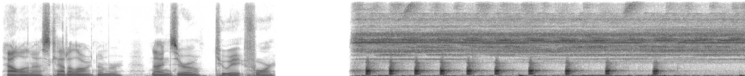 Amazon Bamboo Rat - ML90284