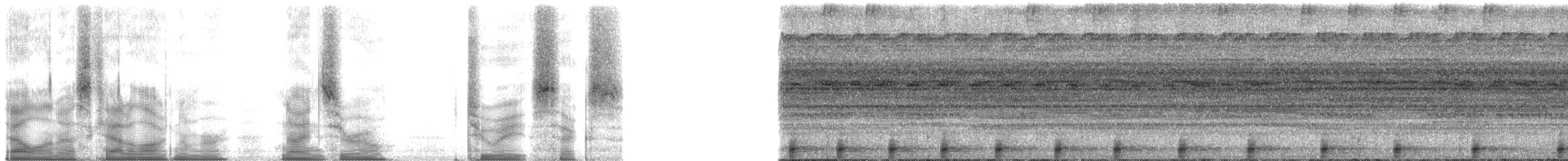 Amazon Bamboo Rat - ML90286