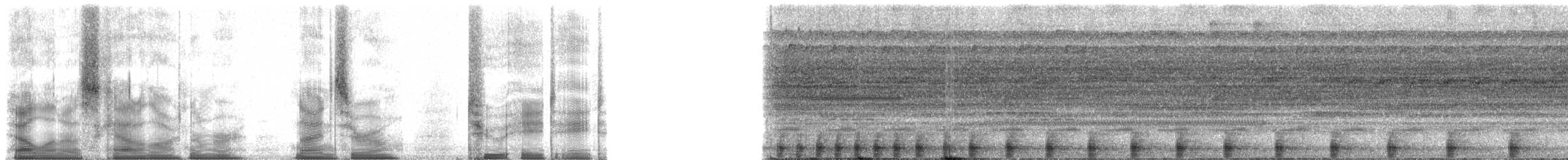 Amazon Bamboo Rat - ML90288