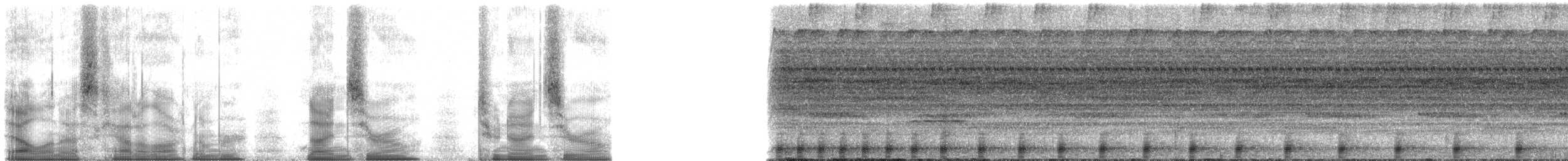 Amazon Bamboo Rat - ML90290