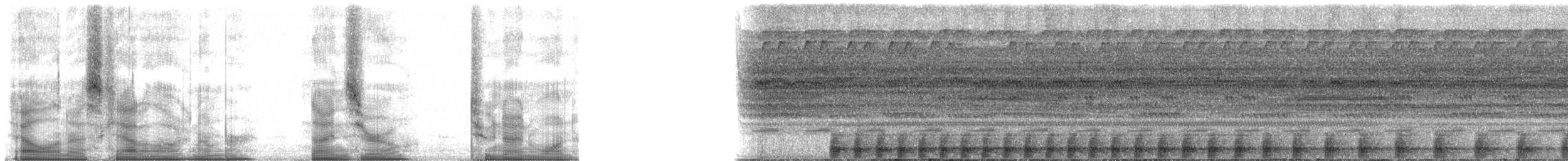 Amazon Bamboo Rat - ML90291