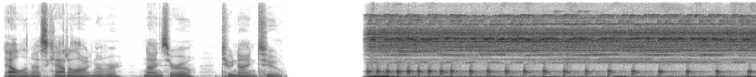 Amazon Bamboo Rat - ML90292