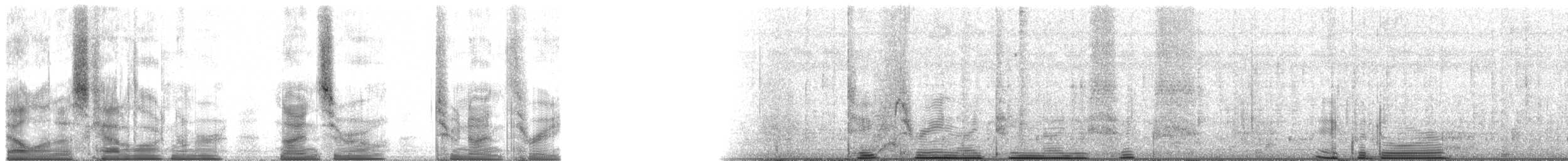 Tamarino dal dorso nero - ML90293