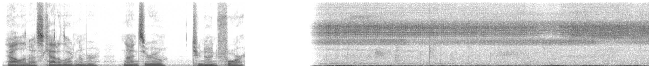 Tamarino dal dorso nero - ML90294