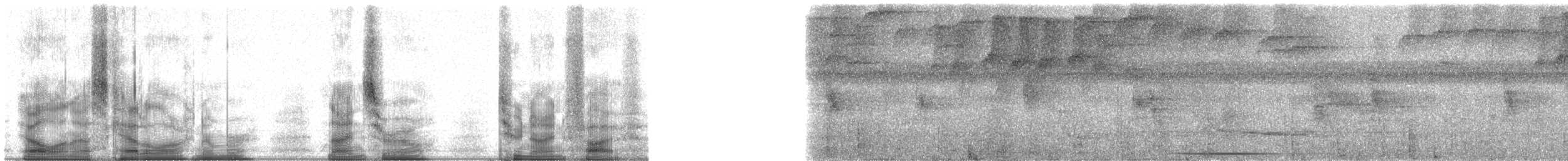 Tamarino dal dorso nero - ML90295