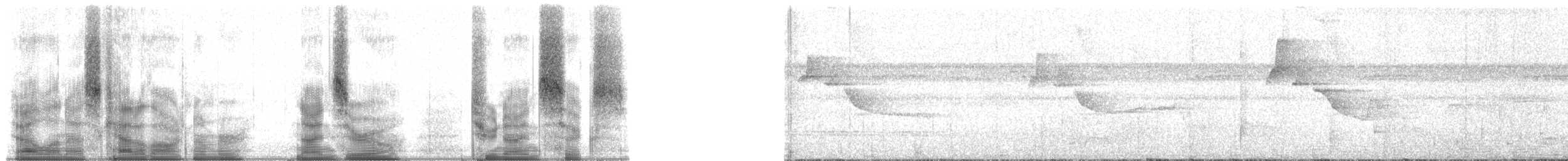 Tamarino dal dorso nero - ML90296