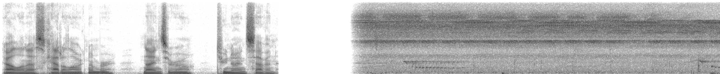 Aluatta rossa - ML90297