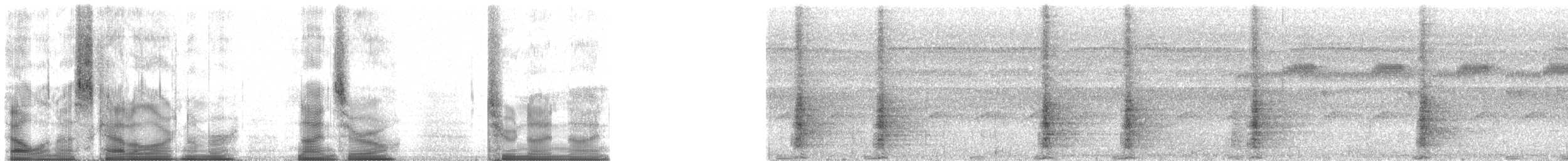 Gray-winged Trumpeter (Napo) - ML90299