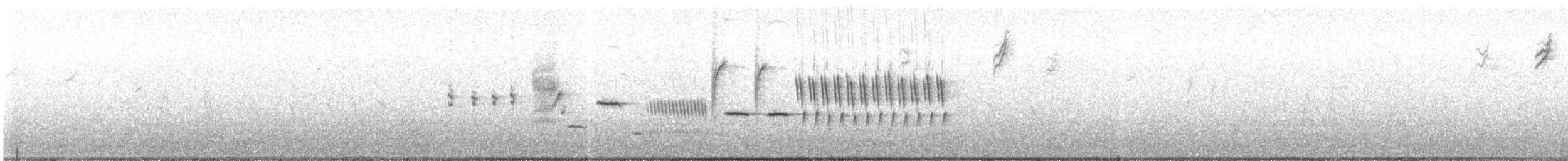 Bewick's Wren - ML90327291