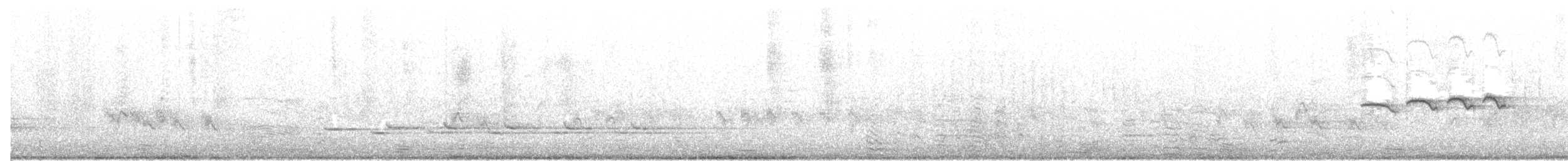 Серогорлая сутора - ML90381581