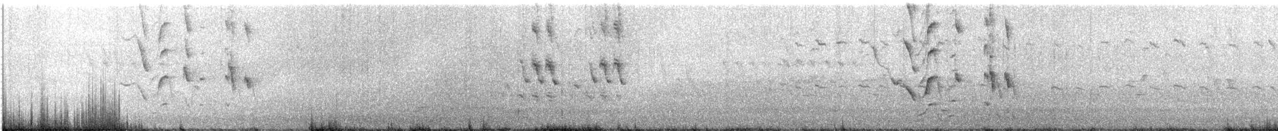 sørgetrupial - ML90447901