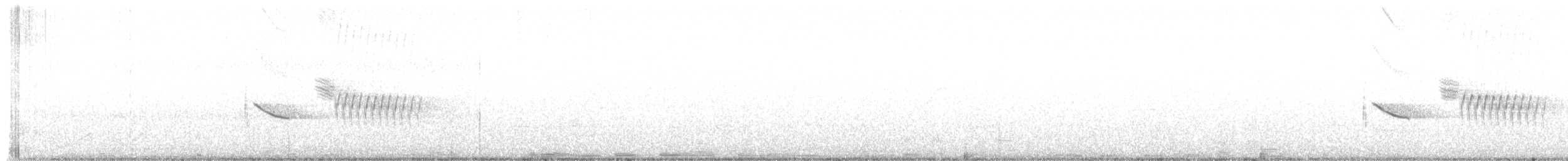 Tohi à flancs roux - ML90485931