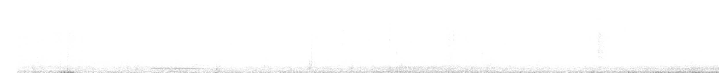 Tawny Owl - ML90605561