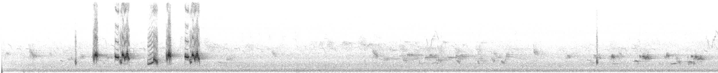白頭翁(formosae/orii) - ML90666111