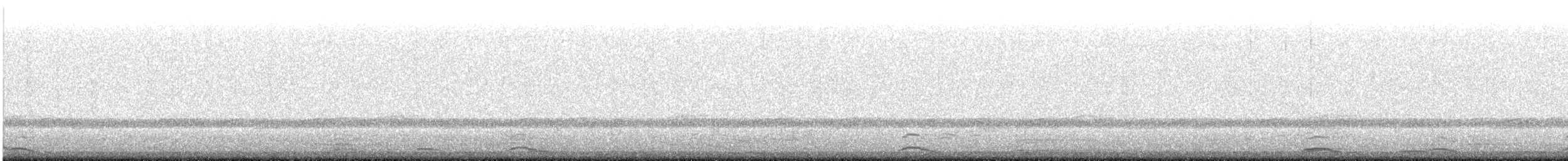 Cygne siffleur - ML90749651
