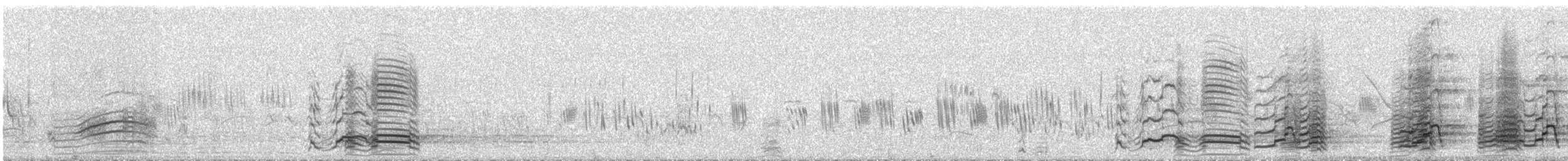 クビワコガモ - ML90862761