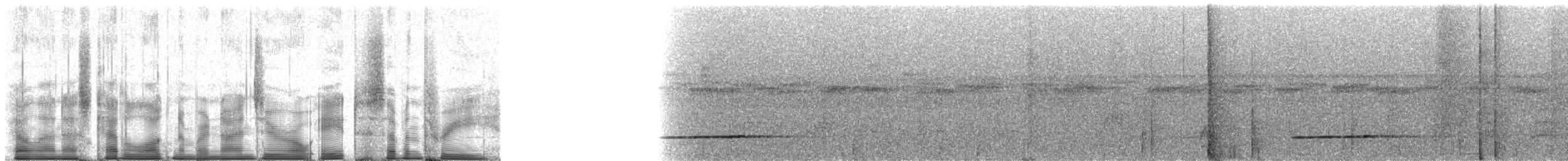 Cinereous Tinamou - ML90873